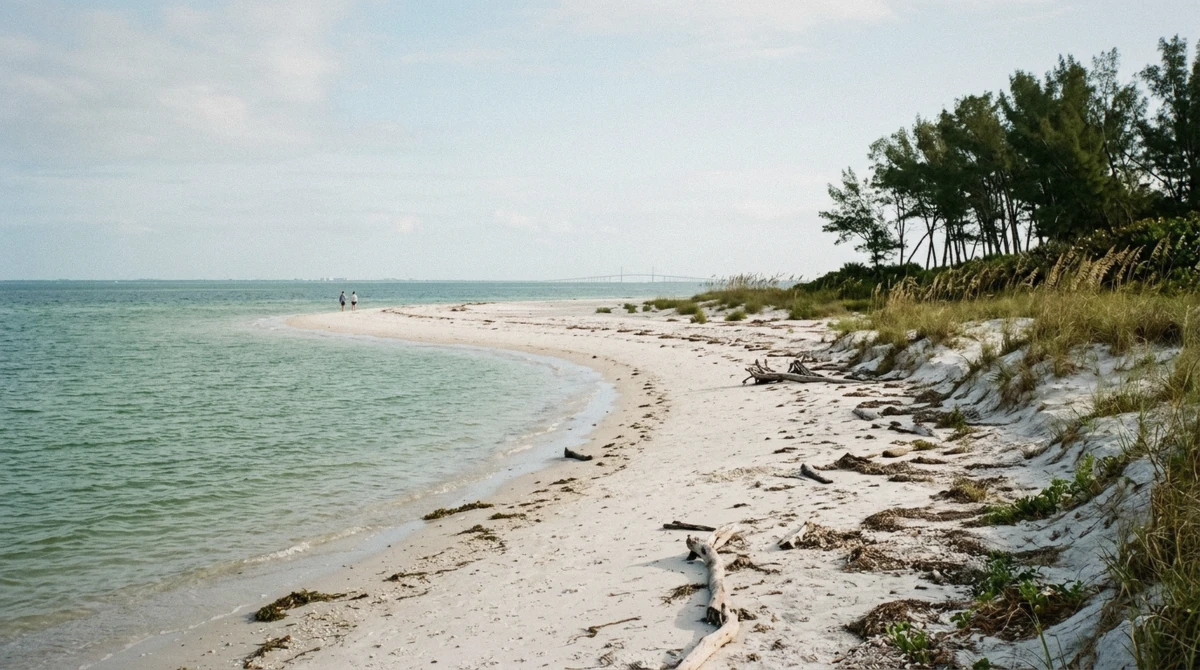 The pale sand spit and shallow green water at Bean Point on the north tip of Anna Maria Island, a dolphin tour hotspot